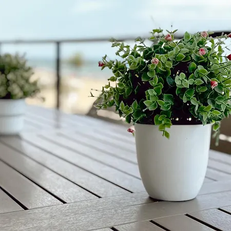 Apartment Lujo Frente Club Nautico Playa Gandia *